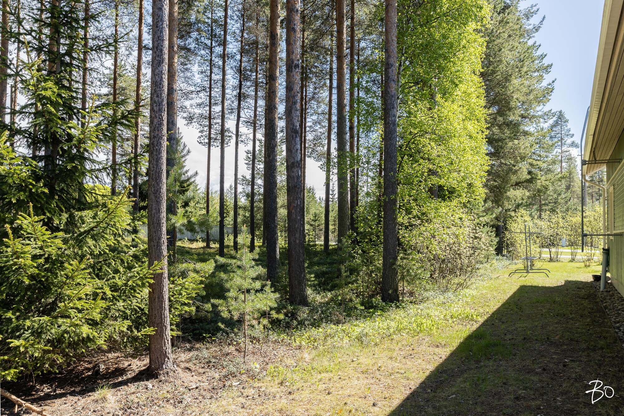 Kokkokaarto 4 - bild 34