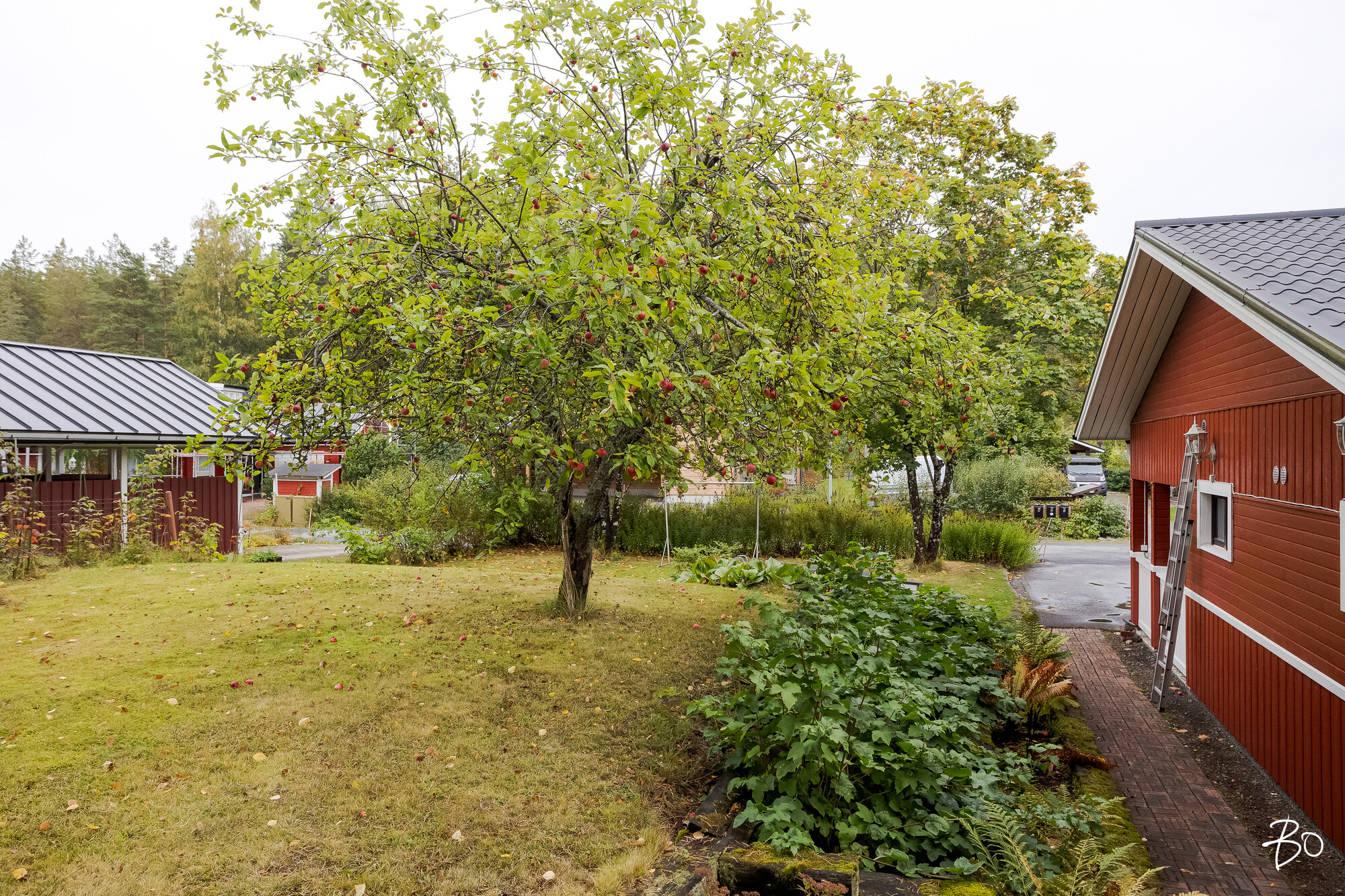 Koilliskaari 1 - image 29