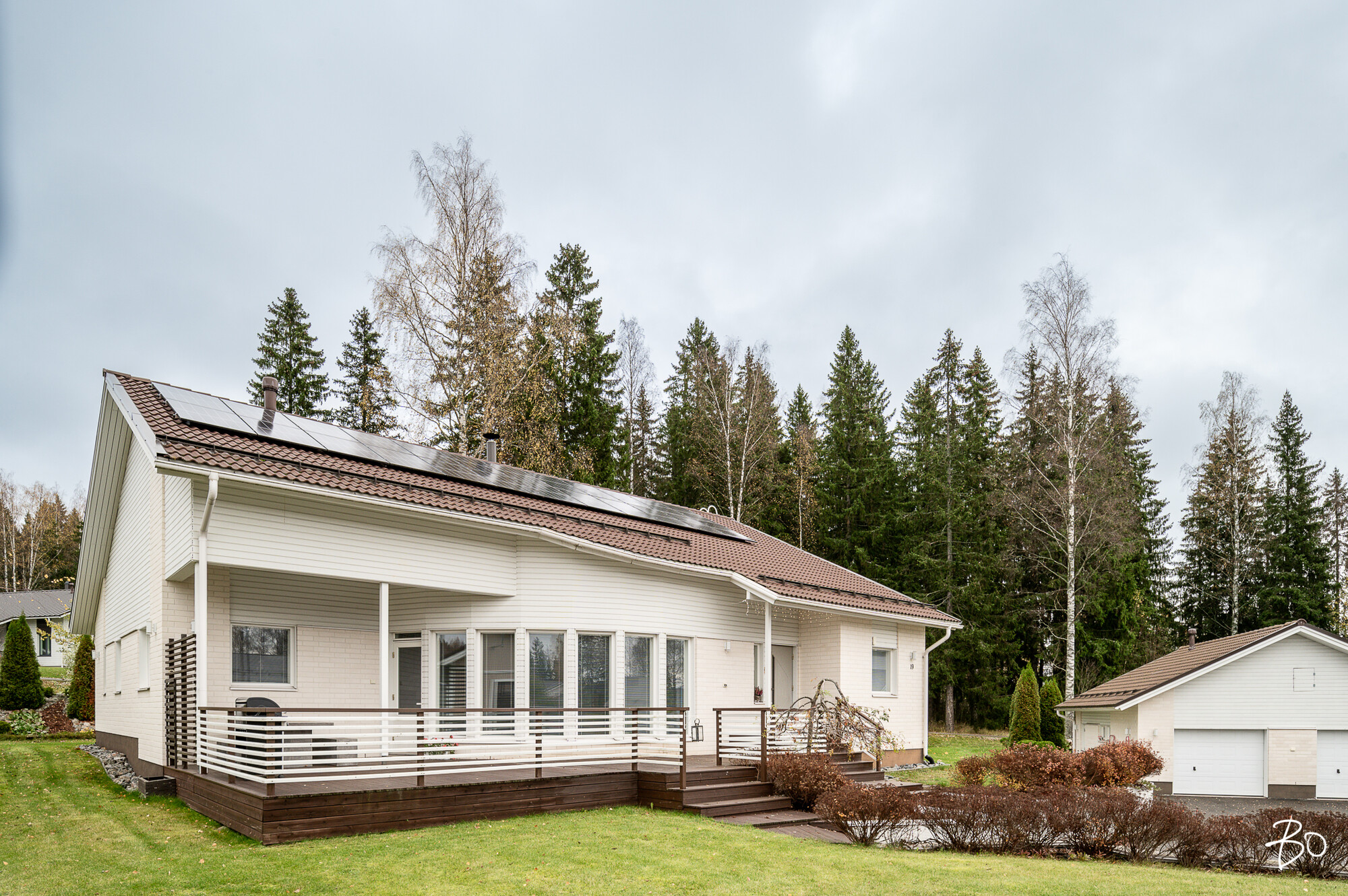 Haapakiitäjä 19 - kuva 29