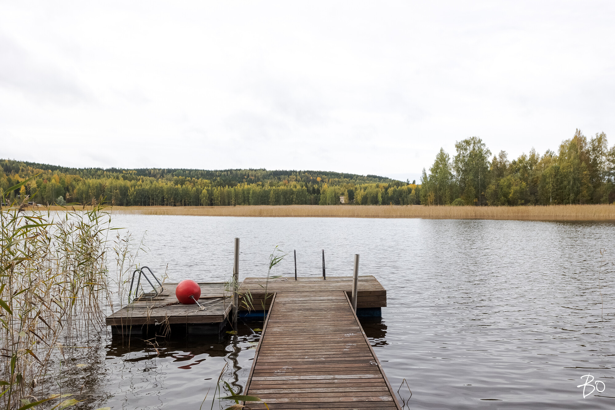 Viljamensaari 232 - kuva 39