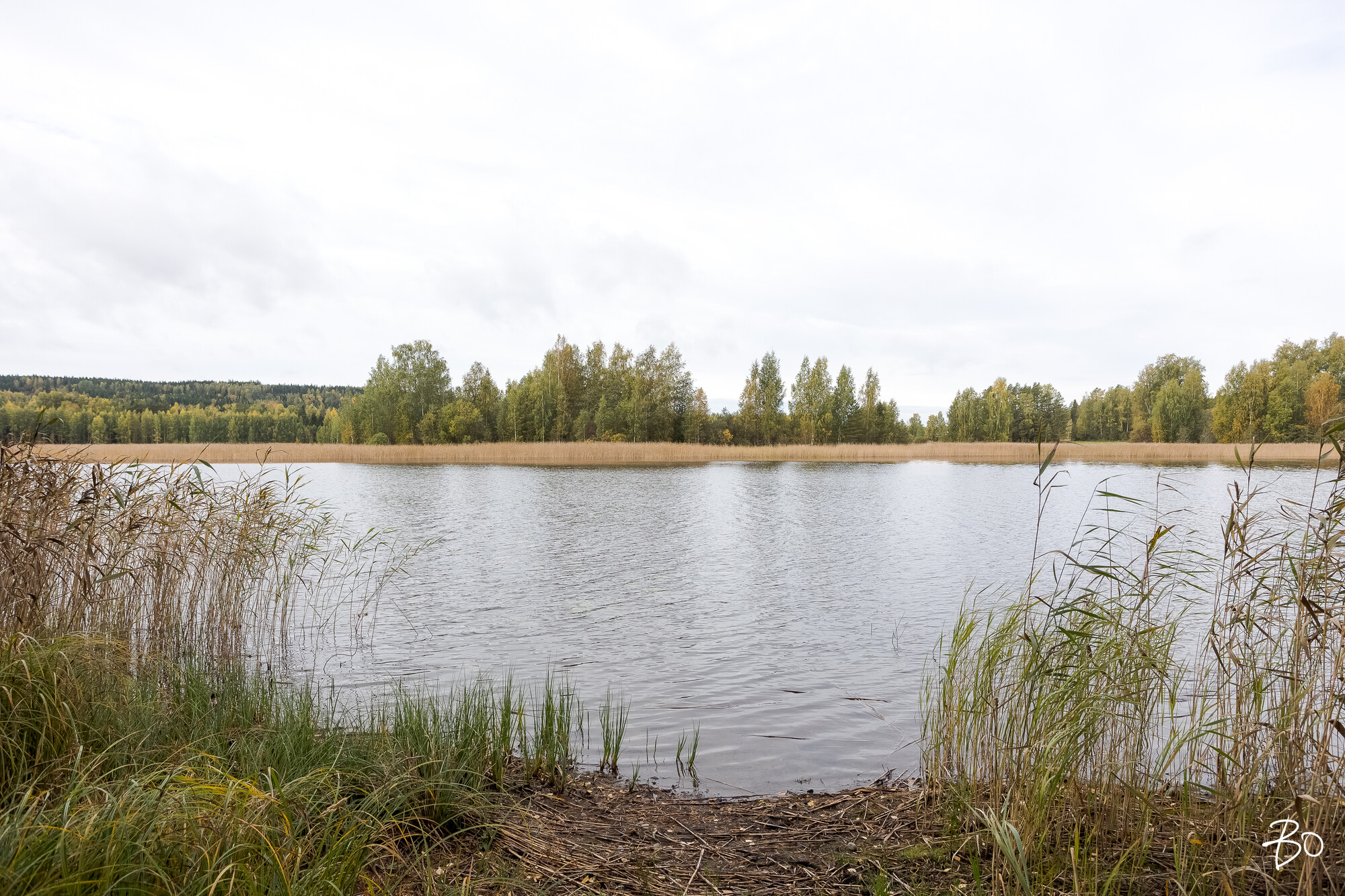 Viljamensaari 232 - kuva 64