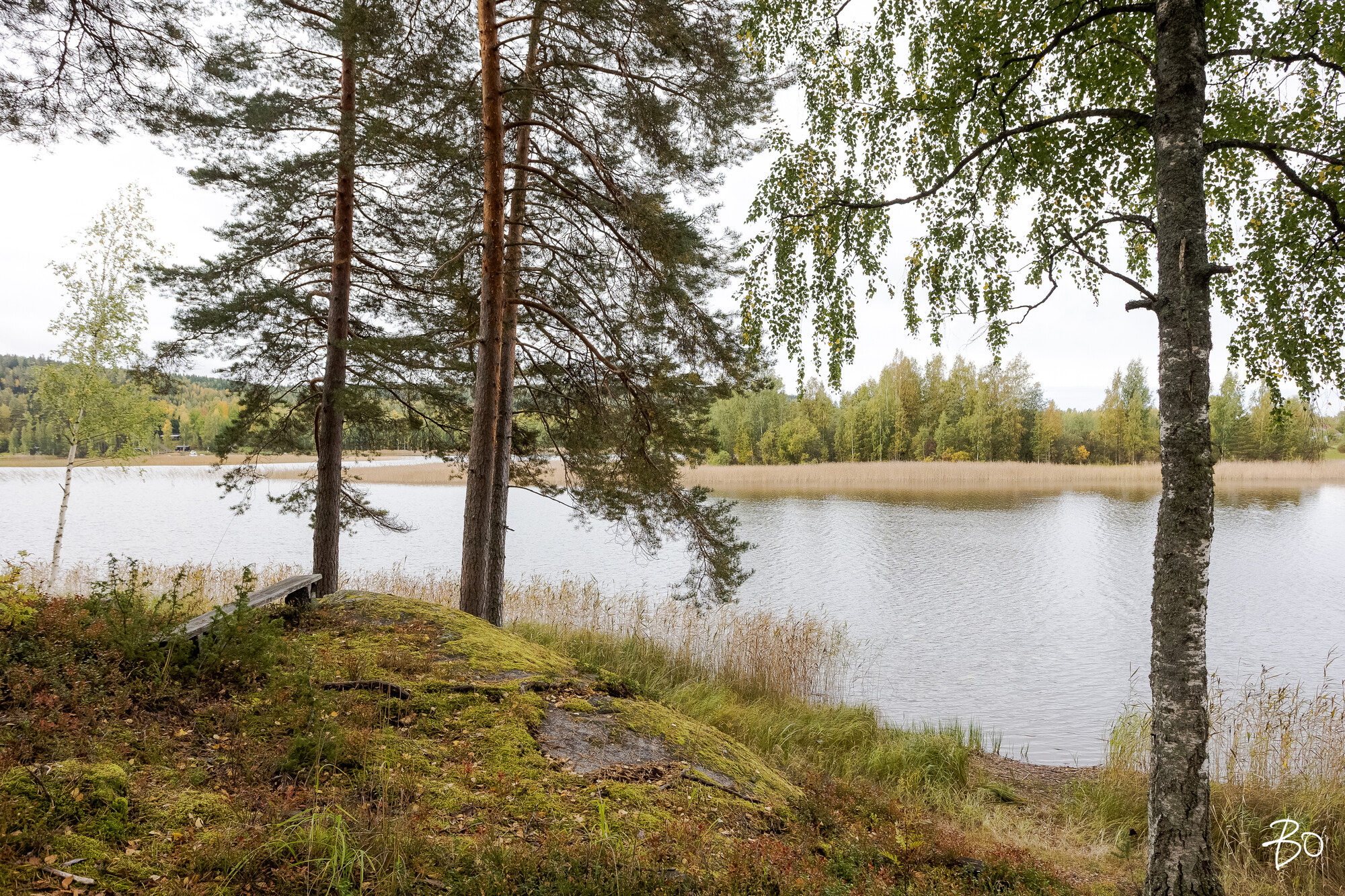 Viljamensaari 232 - kuva 63
