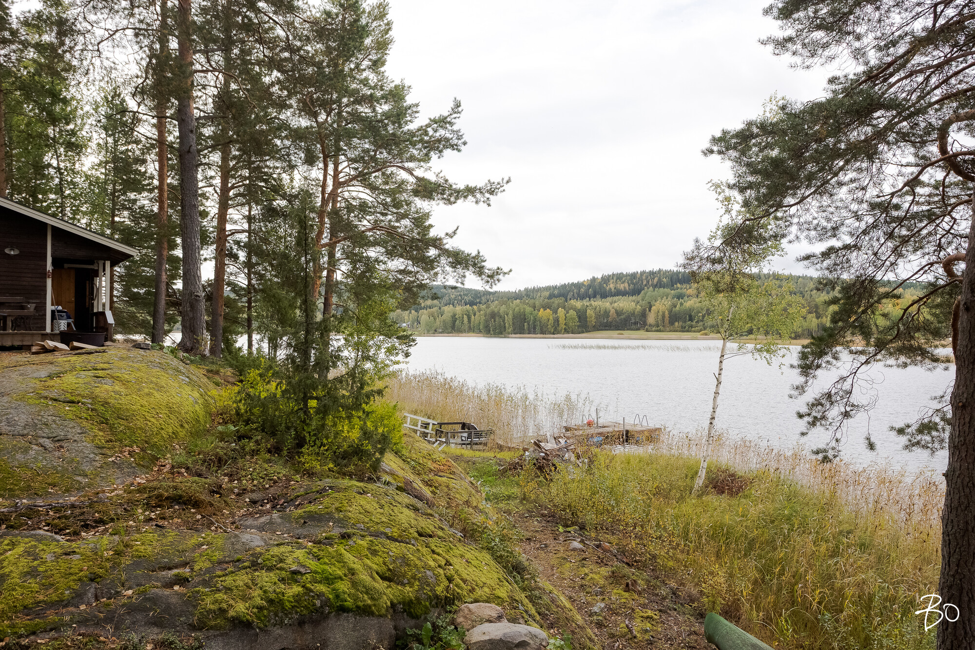 Viljamensaari 232 - kuva 41
