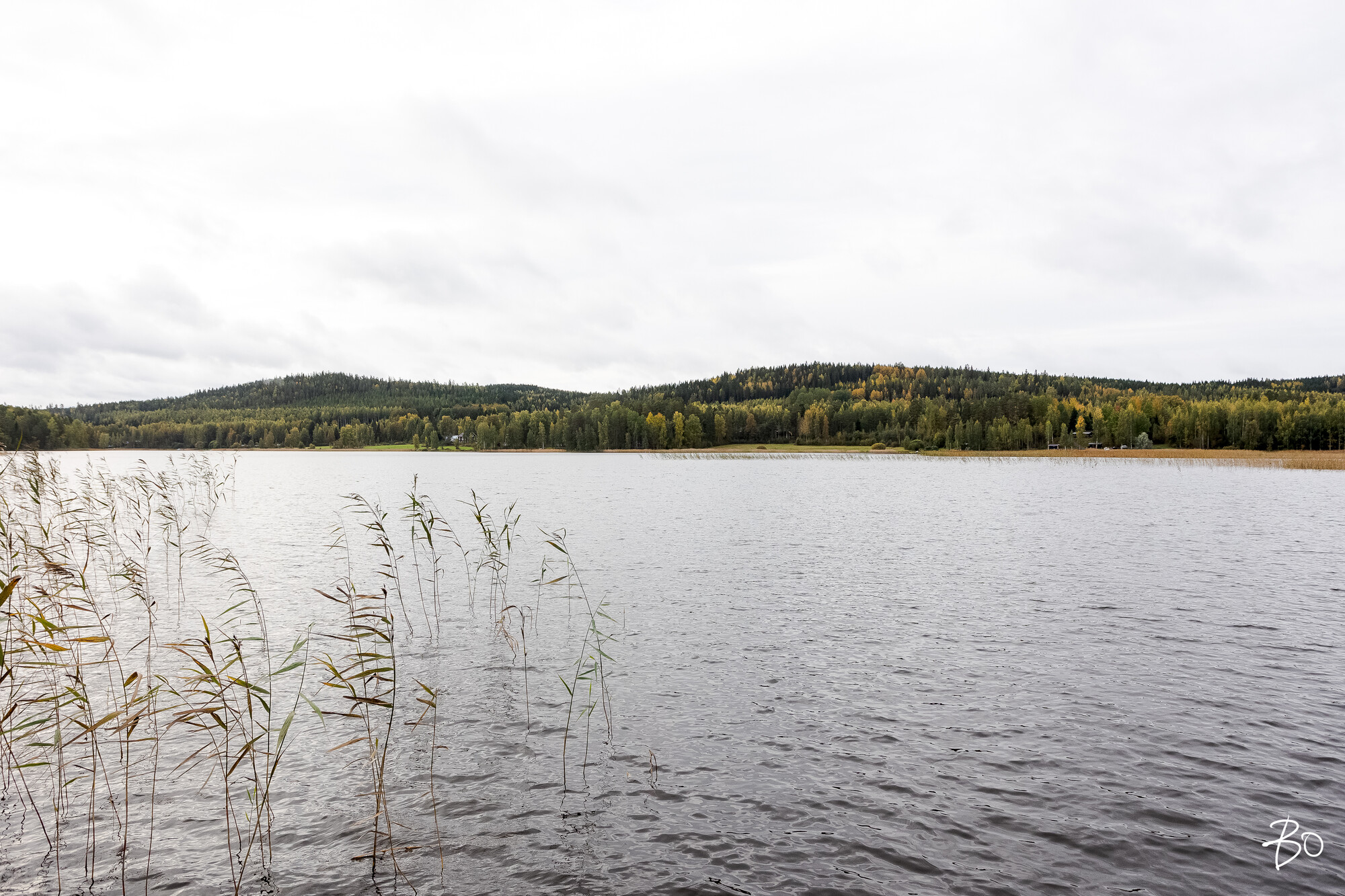 Viljamensaari 232 - kuva 66