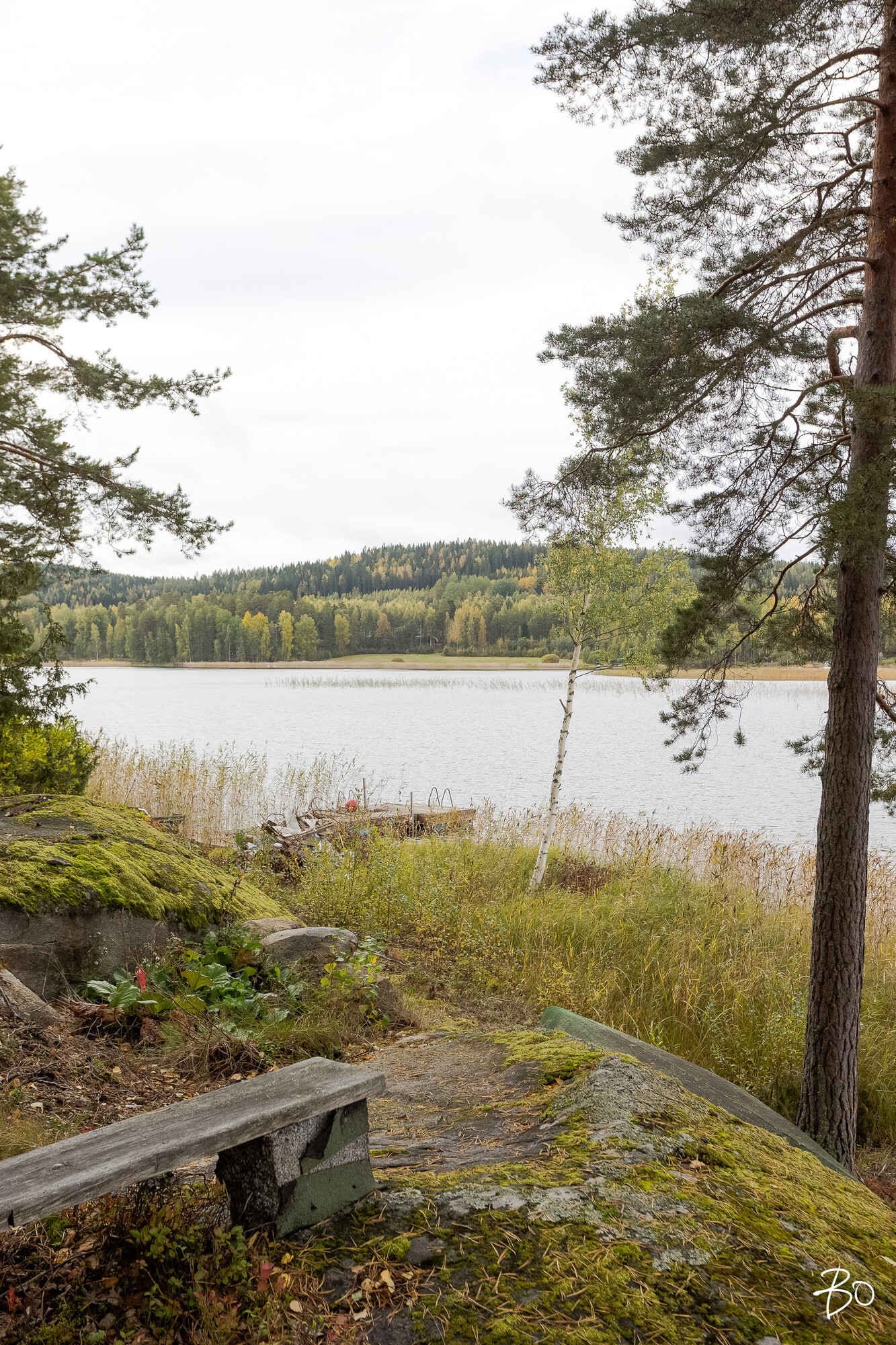 Viljamensaari 232 - kuva 49