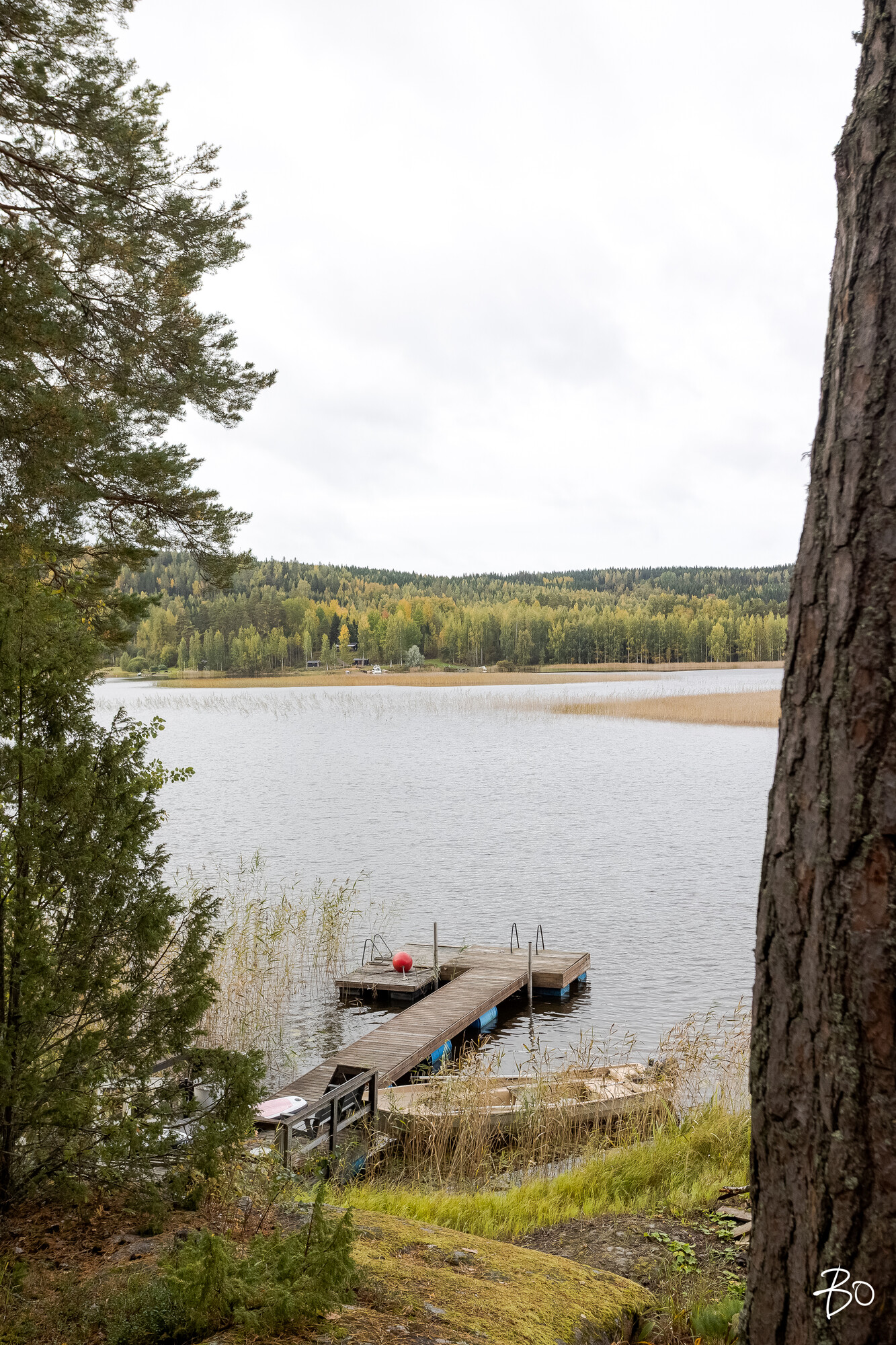 Viljamensaari 232 - kuva 48