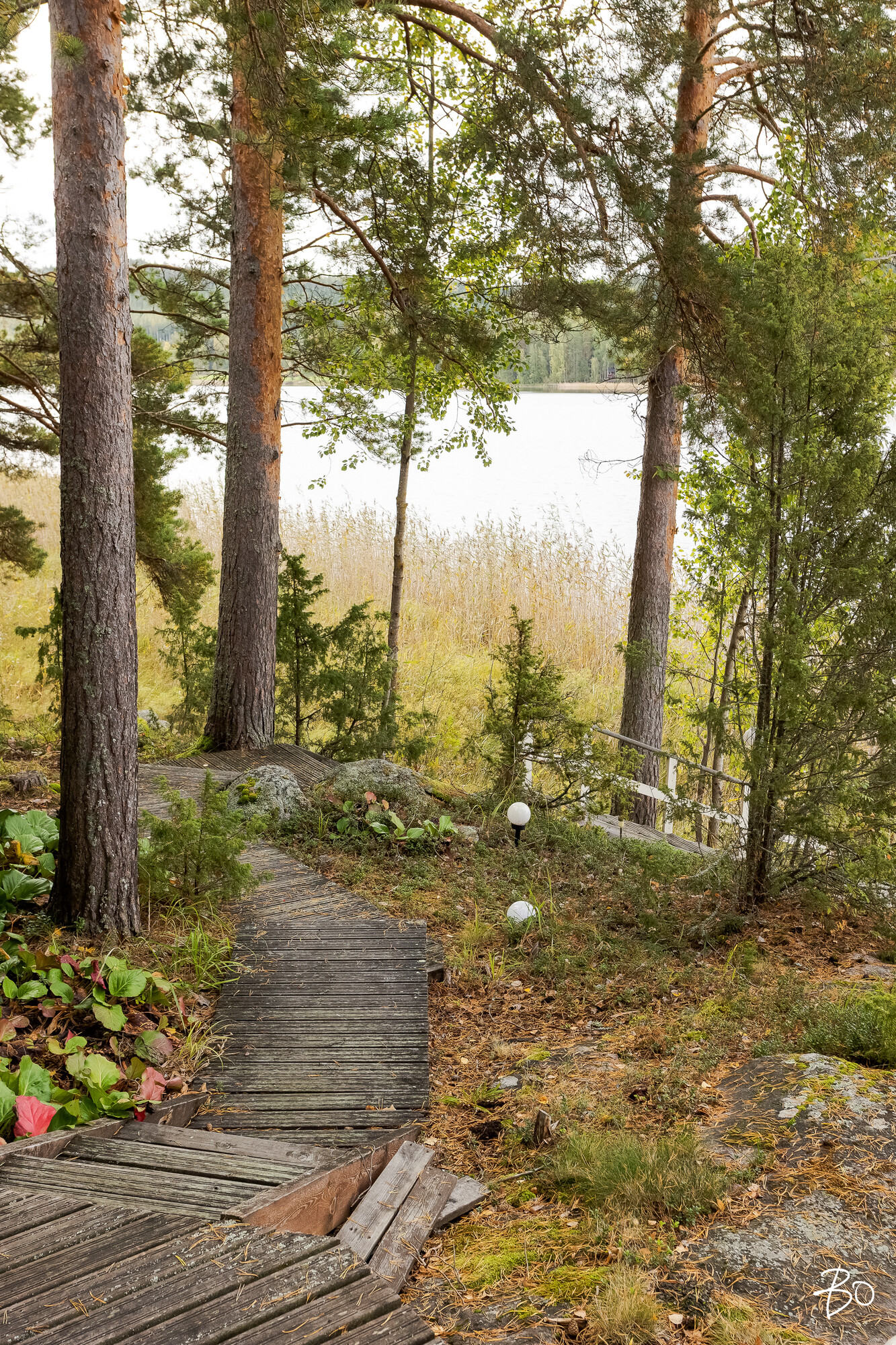 Viljamensaari 232 - kuva 42