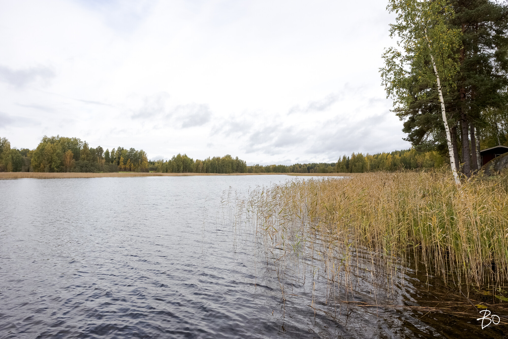 Viljamensaari 232 - kuva 65