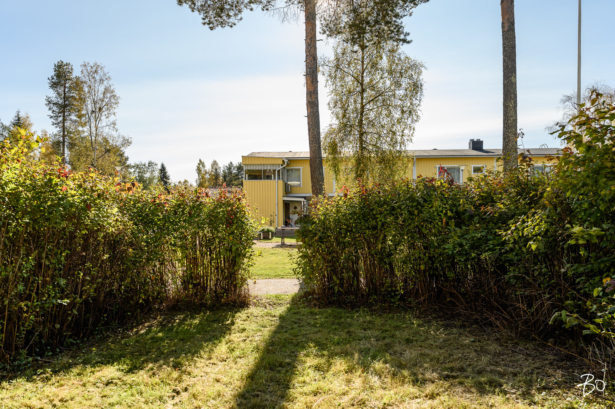 Sarvipöllönkuja 12 B 6 - kuva 28
