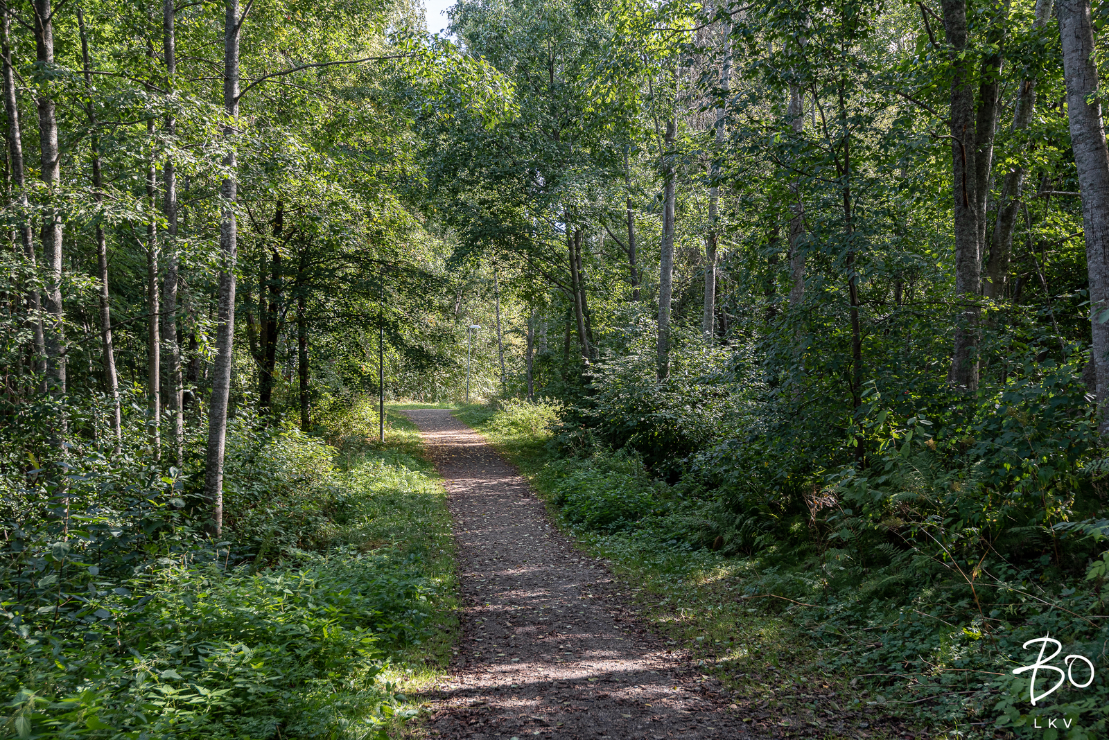 Mesimättääntie 3 A 3 - kuva 35