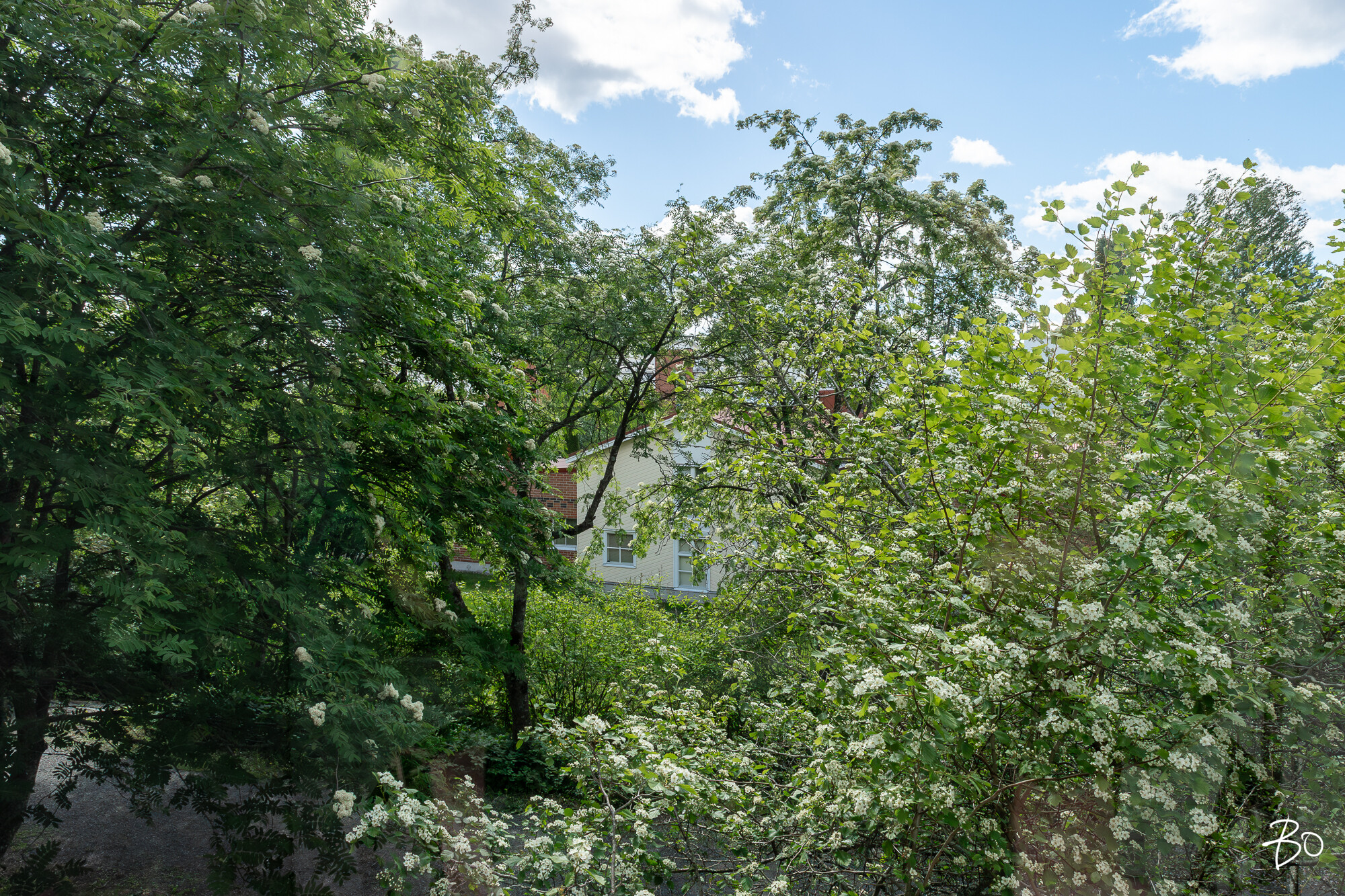Kraatarinkatu 15 - image 10