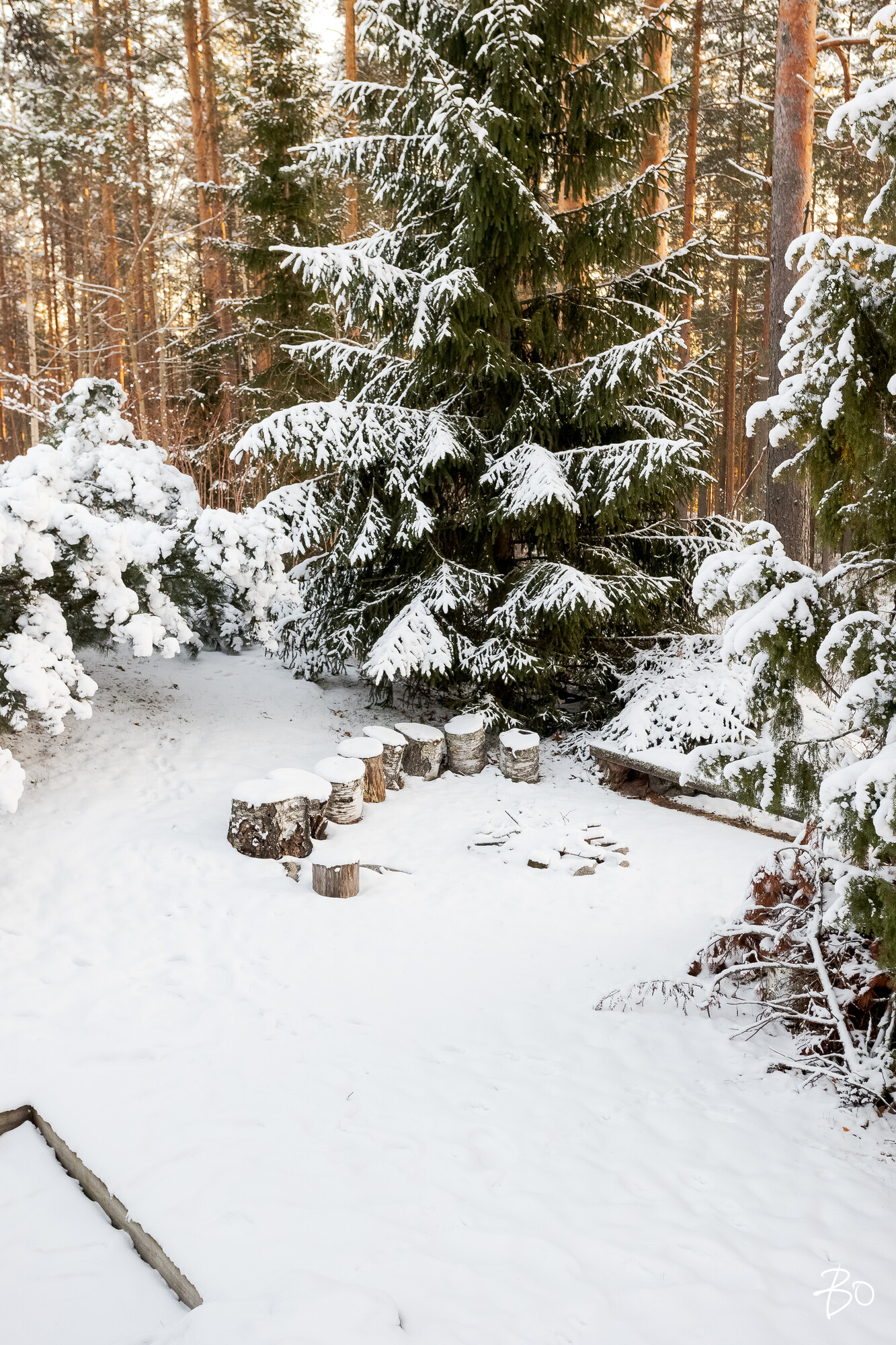 Kinkorinne 18 - image 30