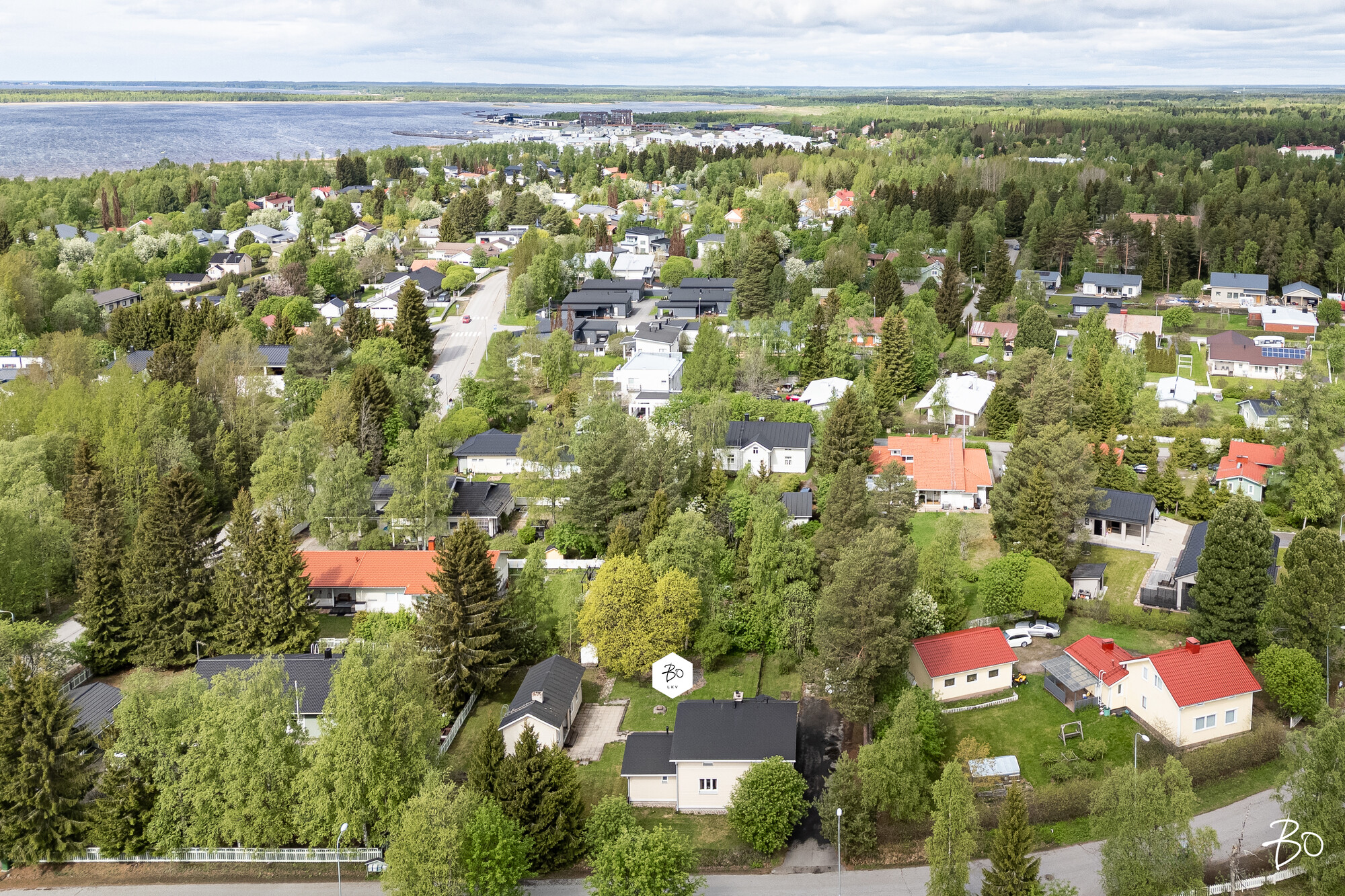 Leppäluodontie 3 - kuva 3