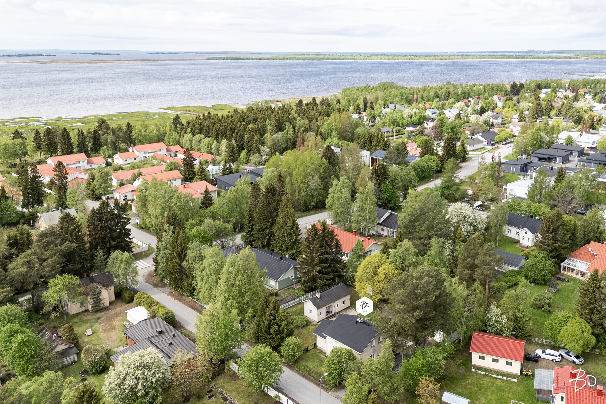 Leppäluodontie 3 - kuva 2